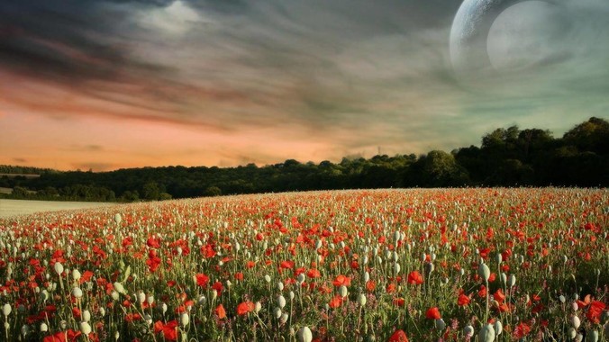 美国那么高的军费都是怎么用的？